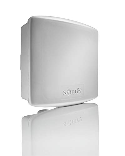 Somfy 2400583 Receptor de Iluminación Exterior, 500 W, 230 V, Blanco