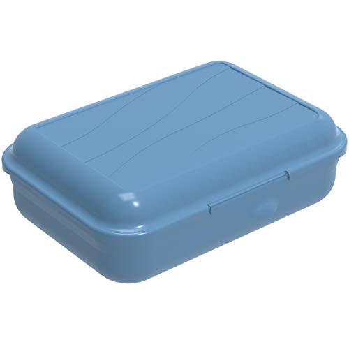 Rotho Fun Lata Vesper 0.9l con partición removible, Plástico (PP) sin BPA, azul, S/0.9l (17.7 x 12.9 x 6.0 cm)