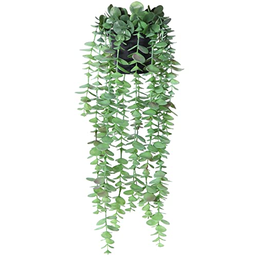 SOGUYI Eucalipto Artificial Plantas Artificiales Decorativas Eucalyptus Falsa Planta Colgante Vertical en Maceta para Pared Habitación Hogar Patio Decoración Guirnalda Helecho Interior y Exterior