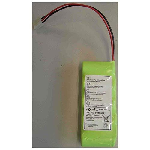 Somfy 9019537 - Batería para persianas eléctricas (NiMH, 6,0 V, 2200 mAh)