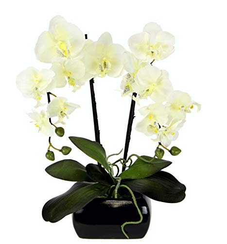 Flair Flower Orquídea en Maceta, Blanco, 55x22x14 cm