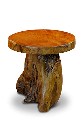 Kinaree Mesa auxiliar JOMTIEN de madera maciza de teca – 40 cm redonda de madera de raíz tronco de árbol – taburete para flores