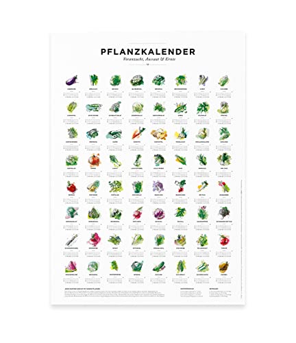 Calendario de siembra y calendario de siembra A2 para jardín, horarios de siembra para 64 tipos diferentes de verduras como póster