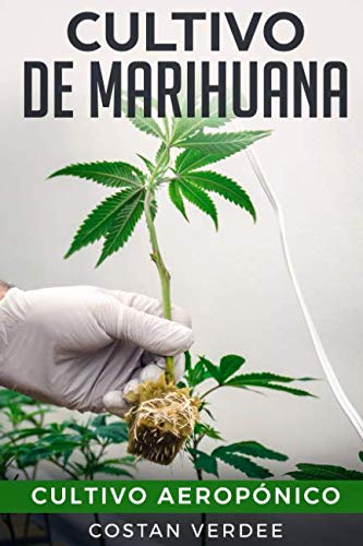 Cultivo De Marihuana: Cultivo Aeropónico