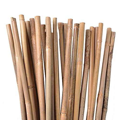 Varillas de bambú, varillas para plantas, 120 cm, color natural, diferentes longitudes