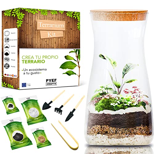 PYEF CRAFTS Kit Terrario Plantas DIY - Set con Frasco de Cristal Ecosistema Cerrado Plantas para Jardin en Botella - Kit Terrario de Cristal para Bosque Eterno de Interior - (Kit Sin Planta)