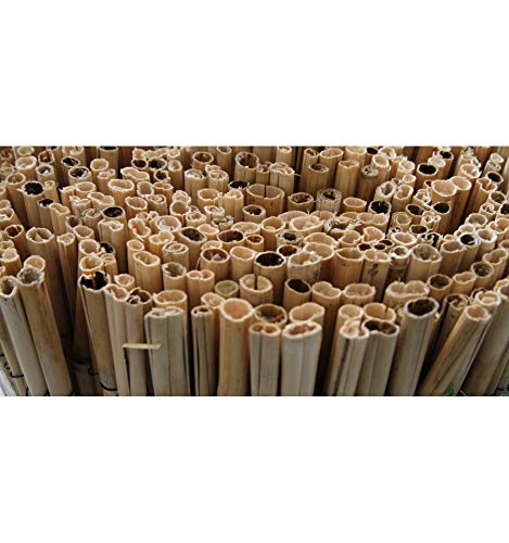 BONERVA | Bambú Extra | Bambu Caña Completa para cerramientos y decoración | Varias Medidas (1x5 M)