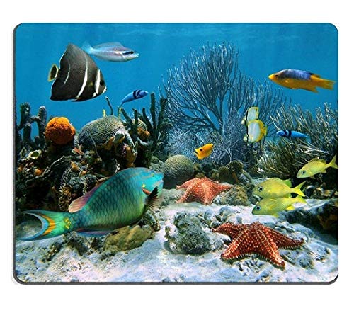 Yanteng Alfombrilla de ratón Juego Alfombrilla de ratón Alfombrilla de ratón de Caucho Natural Jardín de Coral con Estrellas de mar y Coloridos Peces Tropicales Mar del Caribe M0A06363