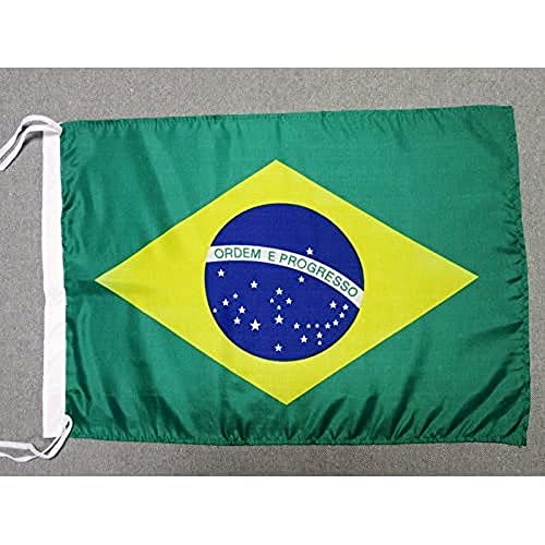 BANDERA de BRASIL 45x30cm - BANDERINA BRASILEÑA 30 x 45 cm cordeles poliester ligero - AZ FLAG