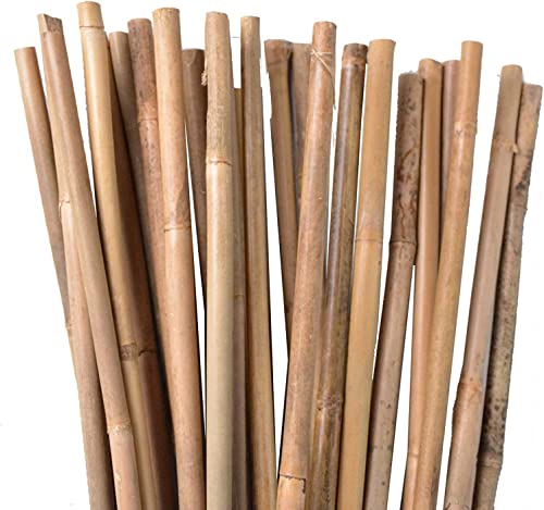 Suinga - Pack 25 x Tutor de bambú 100 cm, diámetro 8-10 mm. Tutores para Plantas, Varillas de Bambú Naturales Ecológicas. Uso agrícola para Sujetar árboles, Plantas y hortalizas