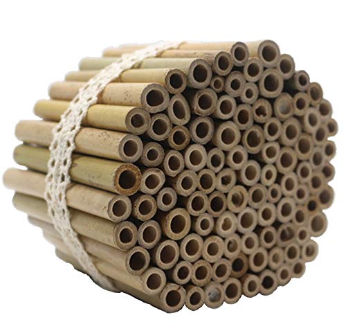 Super Idee 200 tubos de bambú de 10 cm de longitud, material de relleno para hotel de insectos, contenido en invierno, abejas silvestres, casa de insectos para colgar, jardín, balcón, hotel de