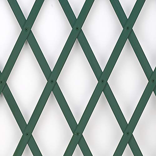 Trepls - Enrejado extensible de PVC, Verde