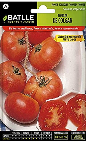 Semillas Batlle Tomate de Colgar Sel. MALLORQUIN