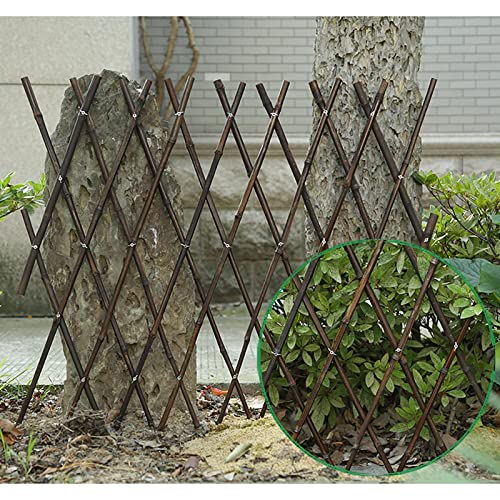 Valla pequeña for exteriores, soporte de bambú for trepar plantas, balcón de poste de bambú for jardín, cerca de enrejado extensible for trepar plantas for soporte de plantas ( Size : 60CM )