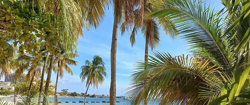 tumbona jamaica beach